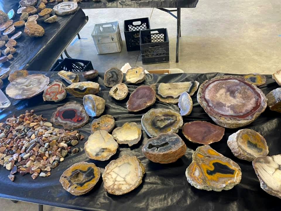 Cut and polished agate nodules and slices arranged across a club or show display table.