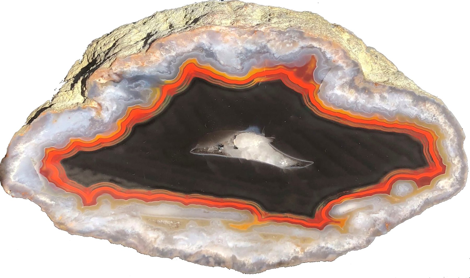 A polished agate slice with vivid red-orange banding surrounding a dark center.