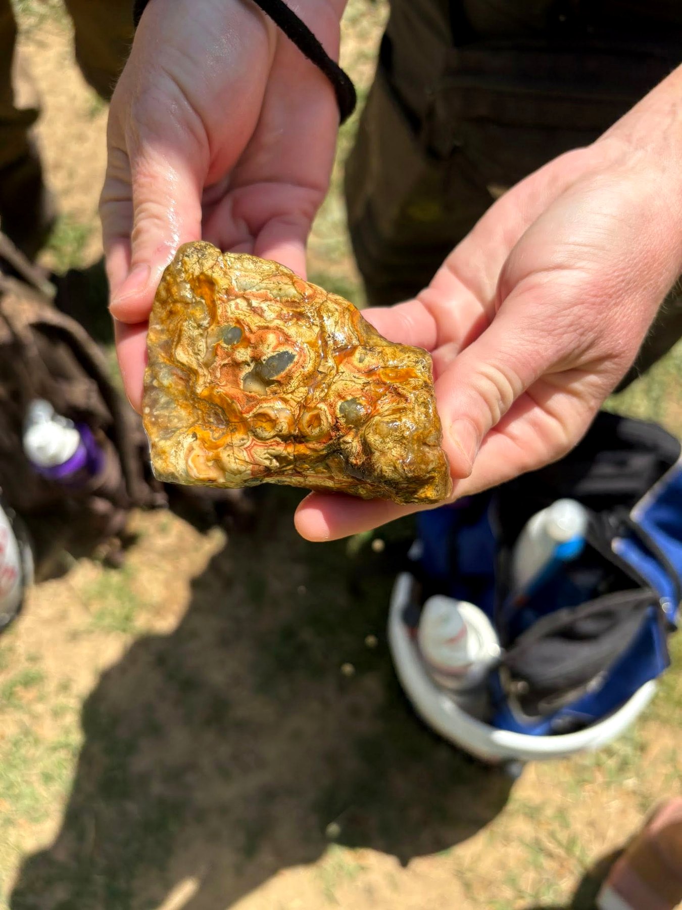 A real field find being examined during a collecting trip