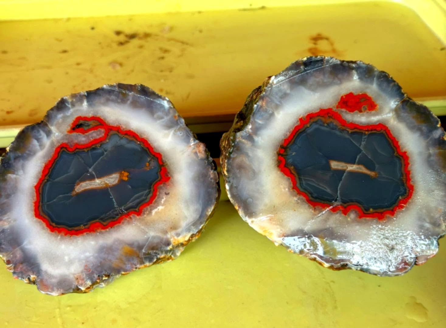 Freshly cut agate nodule halves reveal strong red, gray and white banding inside.