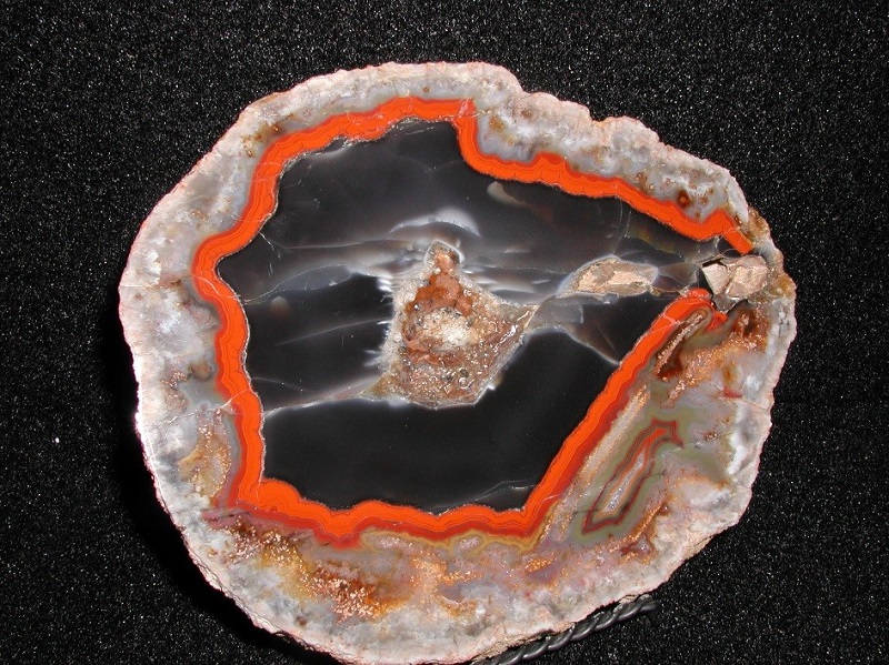 Imperial Kentucky agate specimen from the Middle Fork area of Estill County showing a vivid orange-red ring around dark chalcedony